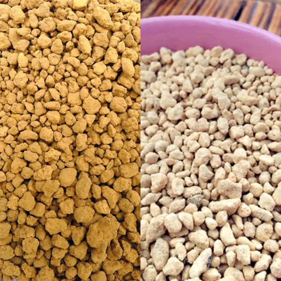 作为懒人植物的多肉为什么你却养不好 来自肉友的经验所谈 5 下篇 哔哩哔哩