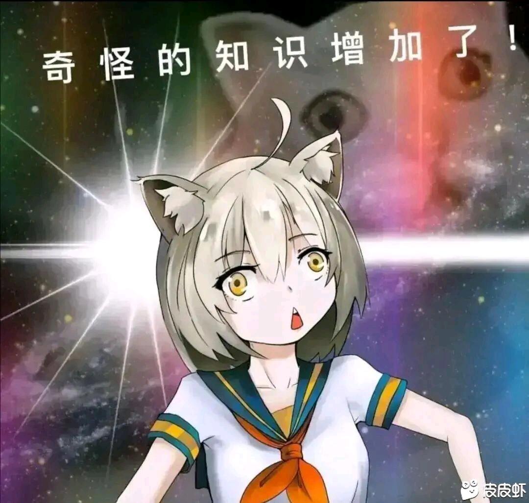 奇怪的知识增加了 mur猫表情包 - 哔哩哔哩