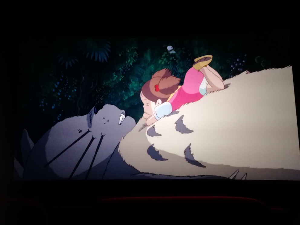 2018龙猫重新上映,轰炸图区