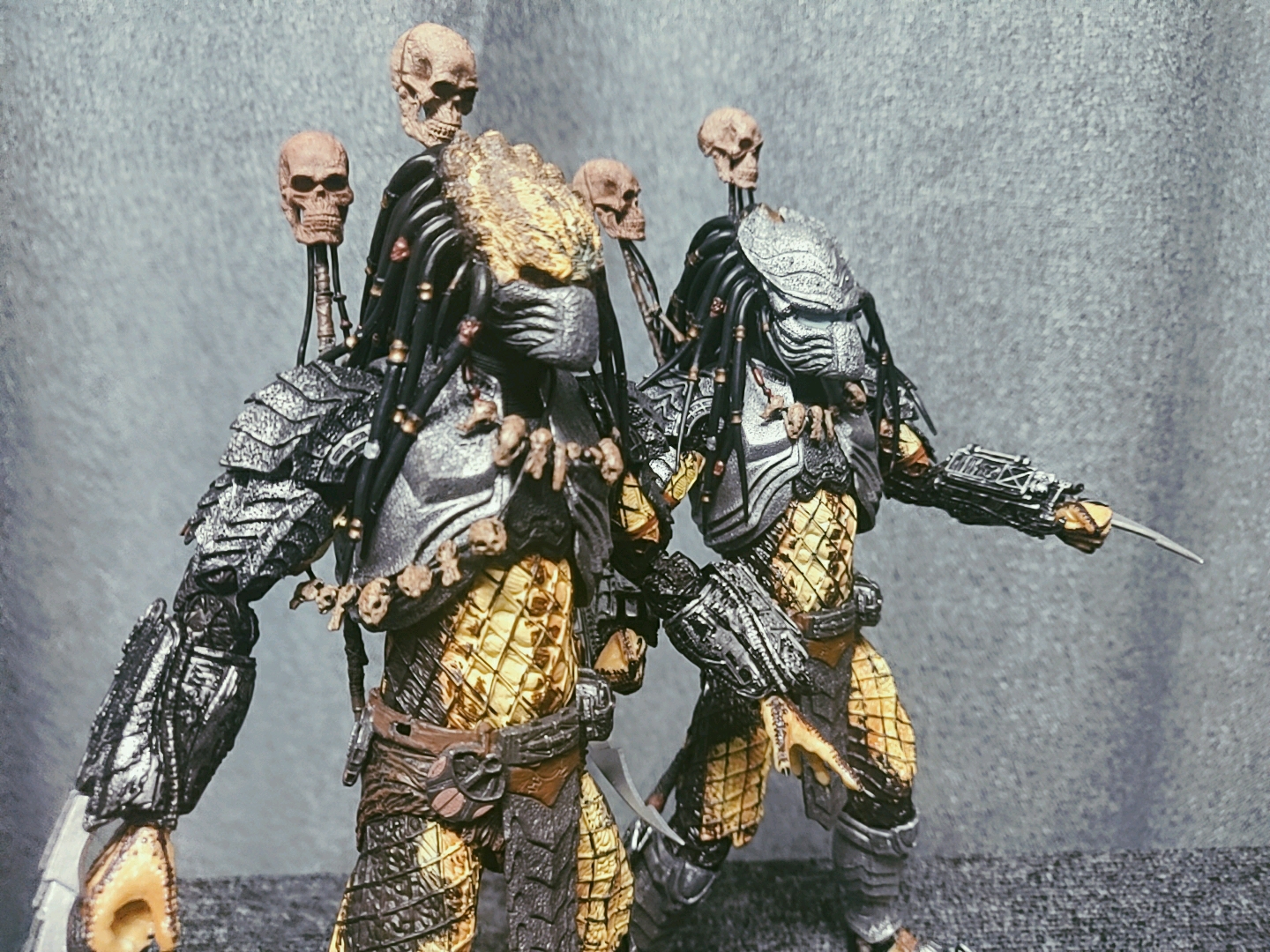 【改造】露额头的猫面铁血战士,拥有地中海的发型,但是却有点刚猛