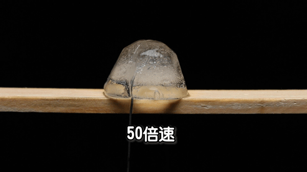 穿透又复原,拥有"再生"能力的神奇冰块!