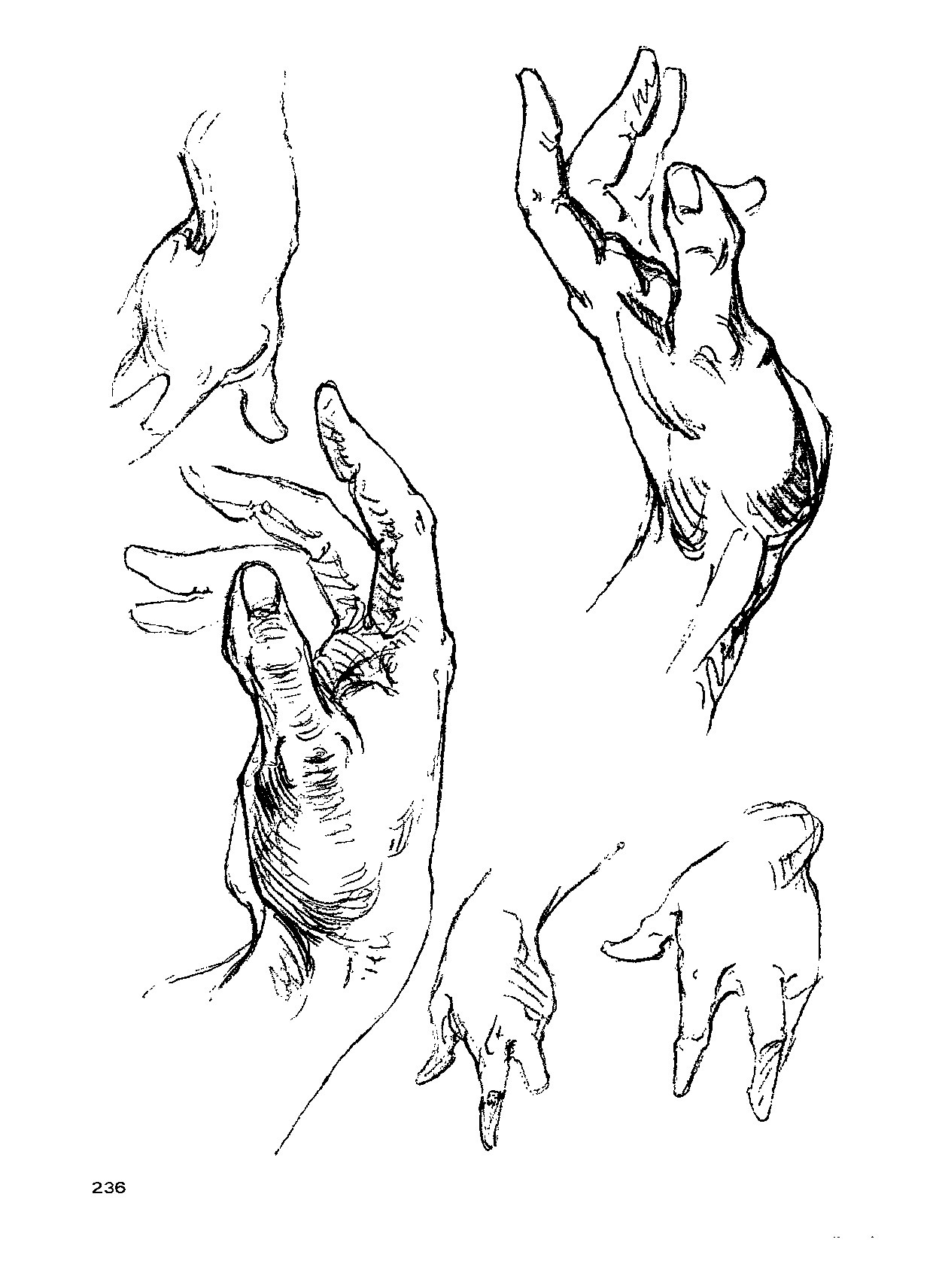 来跟仙儿菲一起研究"伯里曼"