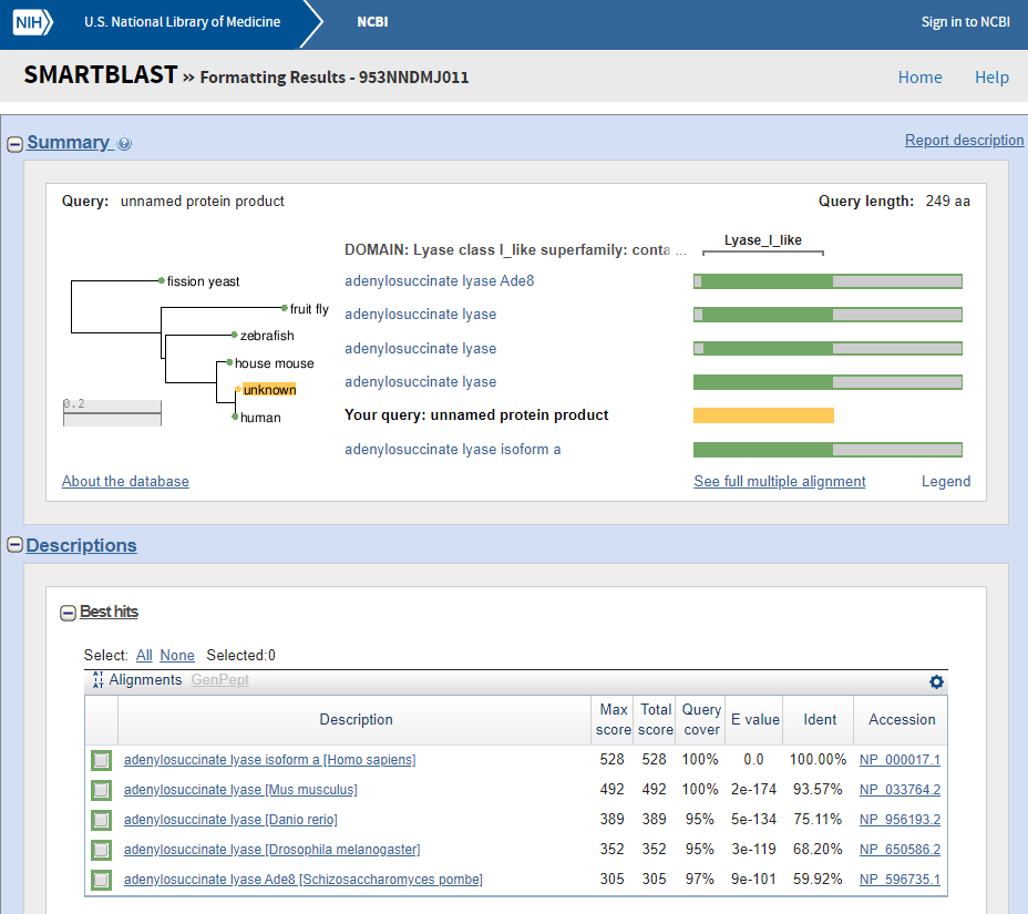 NCBI的其他blast工具介绍（Smartblast,Primerblast,Global Align） 哔哩哔哩