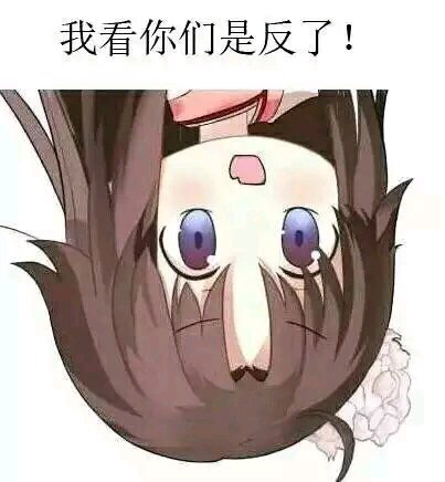 fgo表情包真第三期两仪式系列