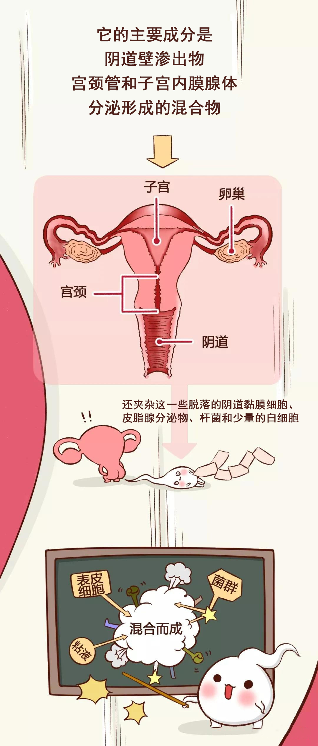 白带异常，排卵期出血（后续来了，自然怀孕，接胎心胎芽） - 知乎
