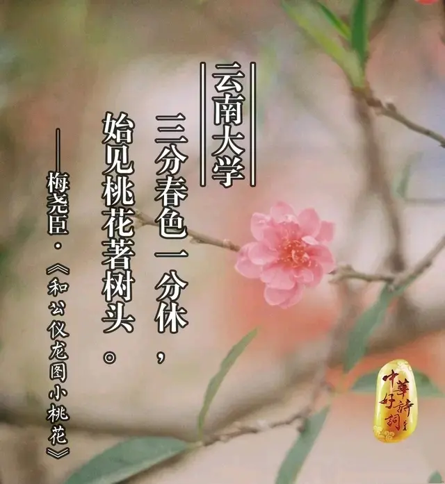 一所大学一首诗 你的母校 最适合配上哪一首古诗 哔哩哔哩