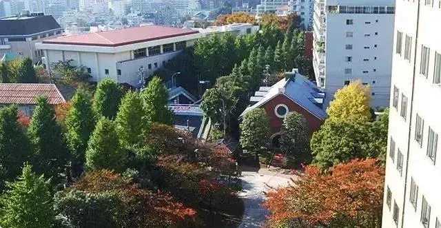 从国立名门到贵族女校 揭开日本女子大学神秘的面纱 哔哩哔哩