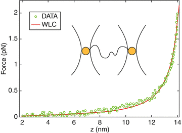 Worm-like Chain (WLC) Model - 哔哩哔哩
