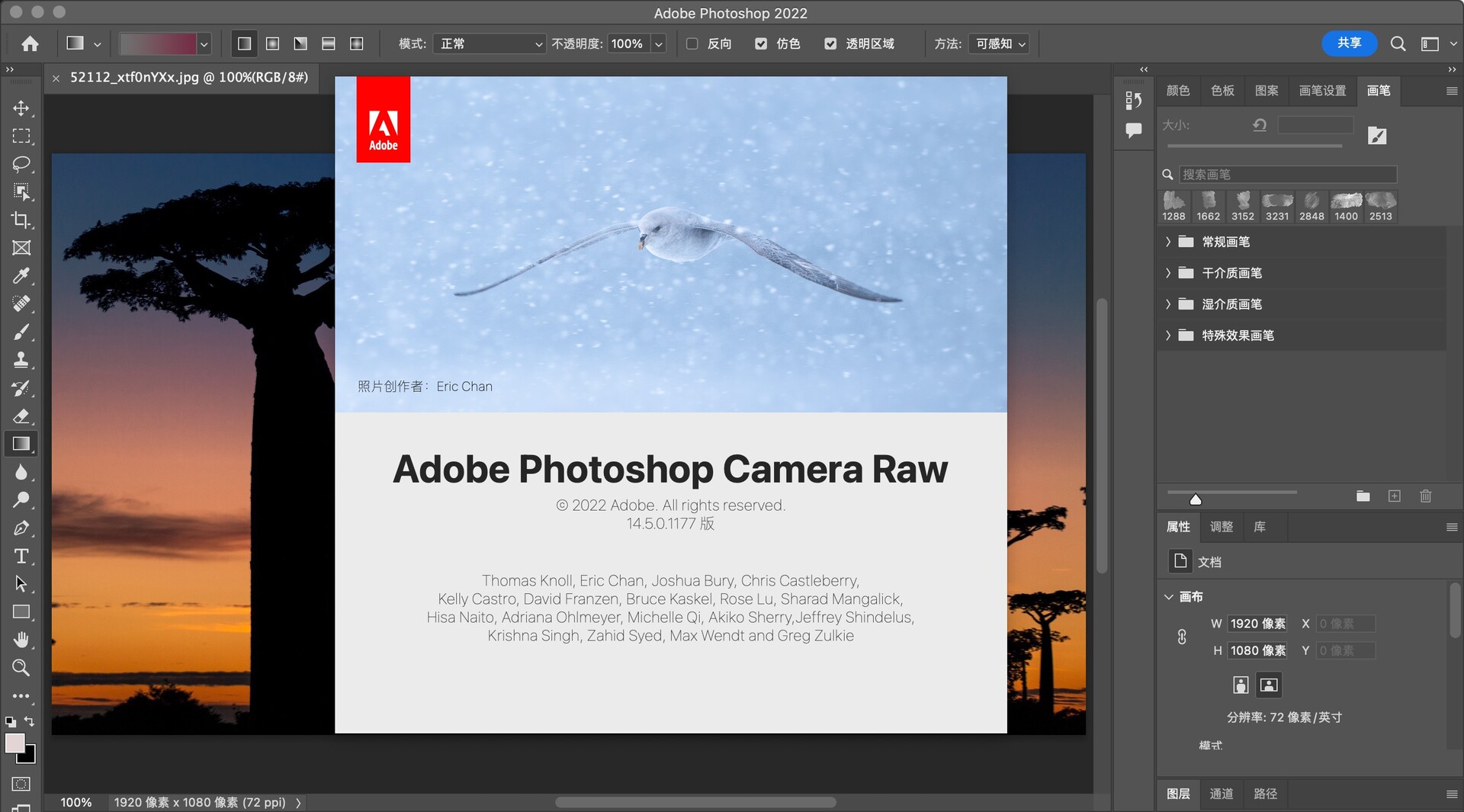 Adobe Camera Raw Mac(Raw格式图像ps插件) 哔哩哔哩