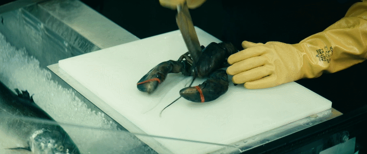 你才是真正的千年杀黑袍纠察队全透剧评第二弹