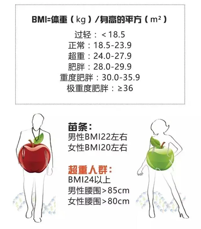 什么是低碳饮食 适合所有人吗 一篇告诉你真相 哔哩哔哩