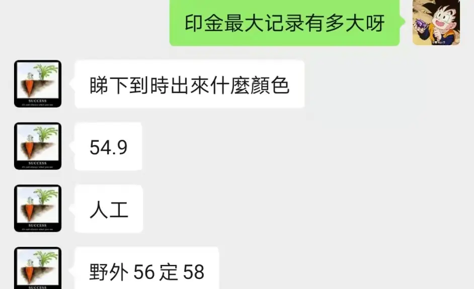 印尼金锹饲育记录 哔哩哔哩