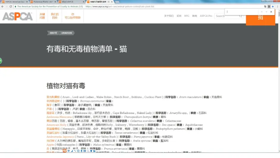 对猫有毒的植物 下篇 常见植物如何查询是否有毒 文字版 哔哩哔哩