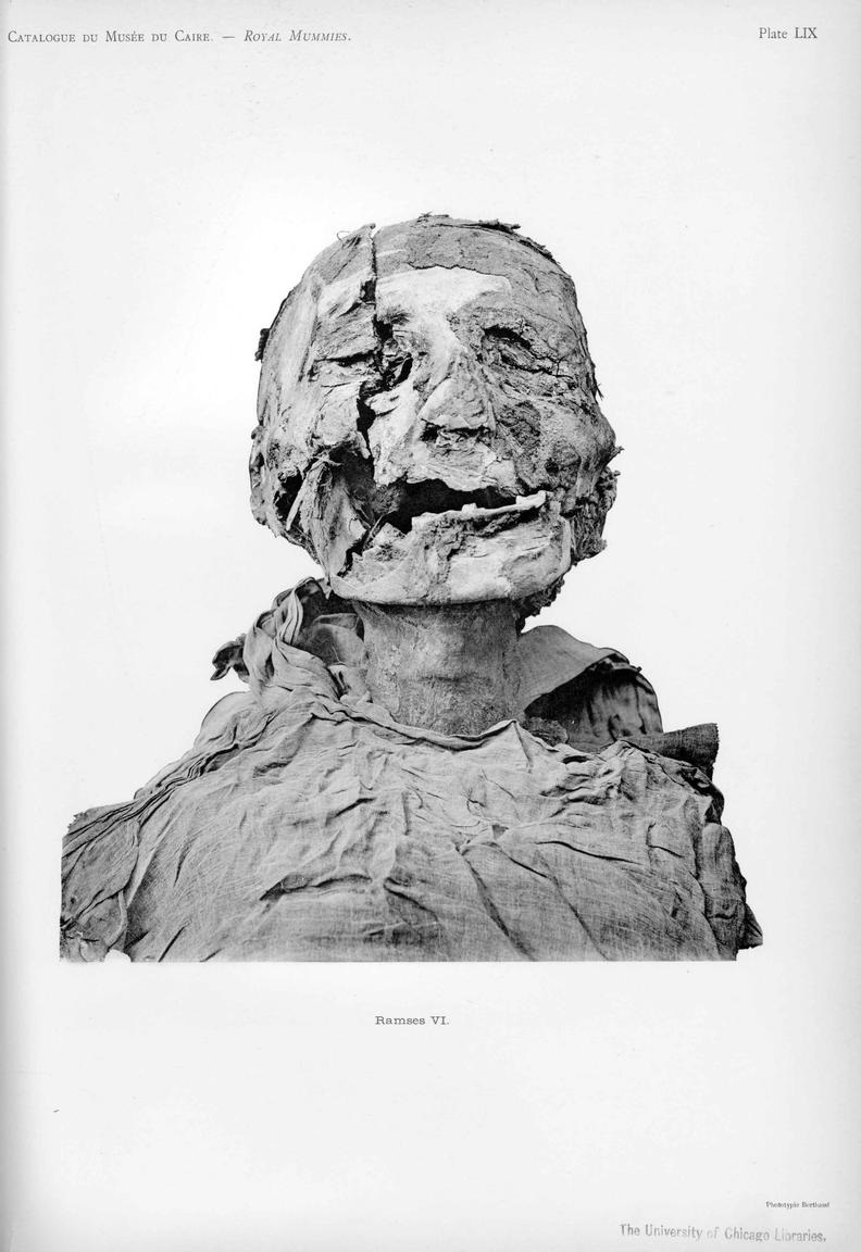 迁往埃及文明博物馆的22具木乃伊详细介绍 (part 2 - 19王朝&20王朝)