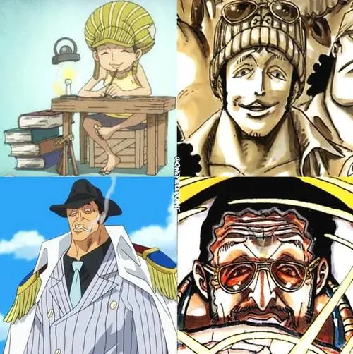 海贼王 扉页再证卧底大戏 和之国大战黄猿 青雉将成x因素 哔哩哔哩