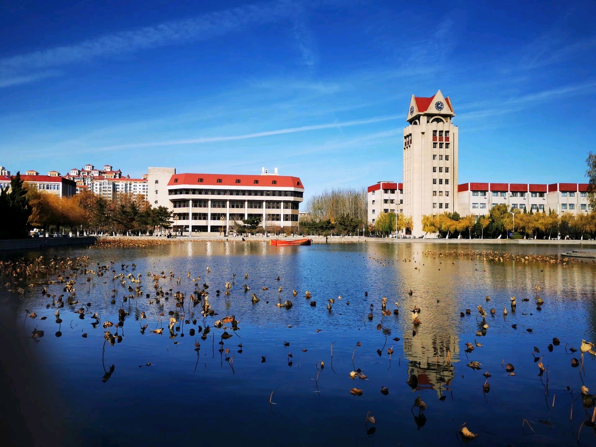 烟台大学2020新生群