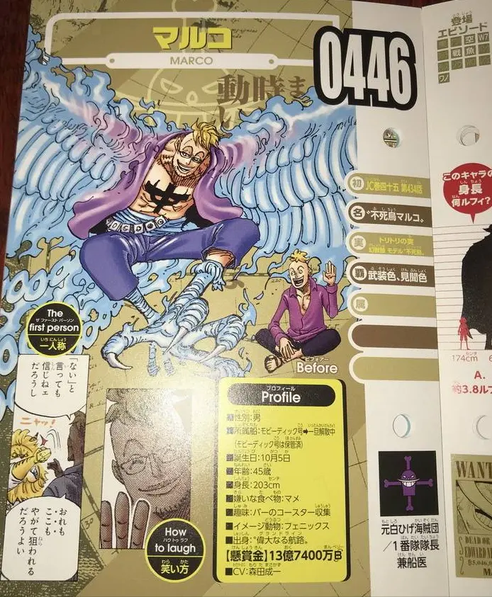 海贼王 革命军首领龙的悬赏金多少 有一个办法可以算出来 哔哩哔哩