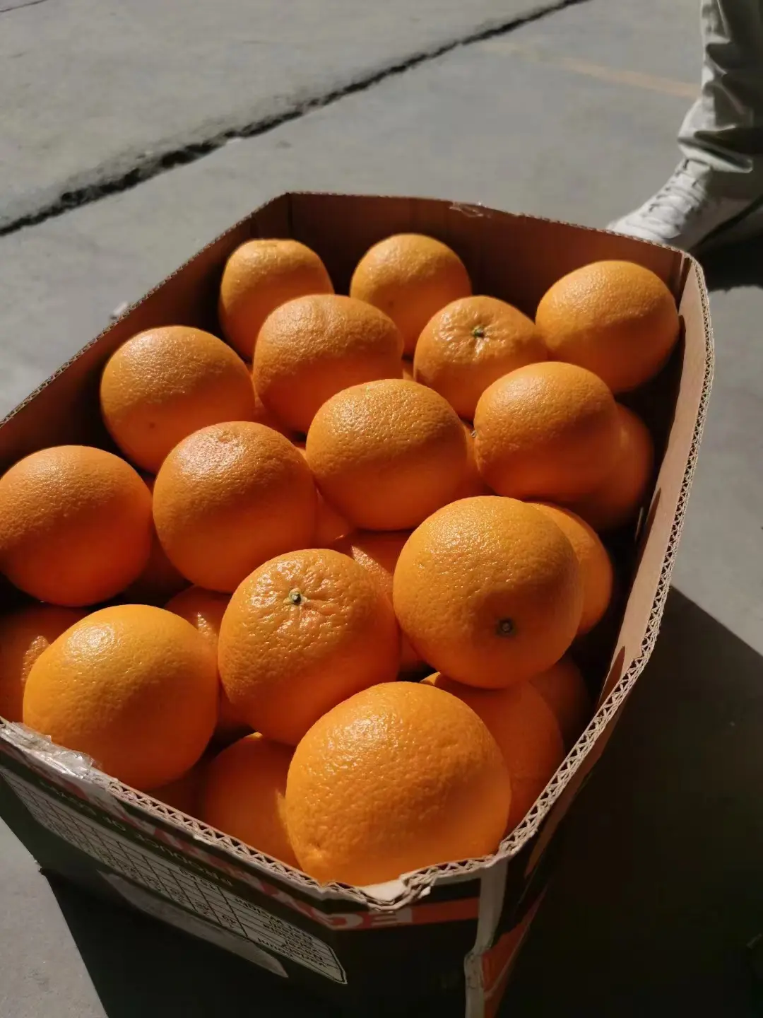 陈氏阳光直采埃及橙,满满的果肉,充盈的汁水,酸酸甜甜伴你一夏!