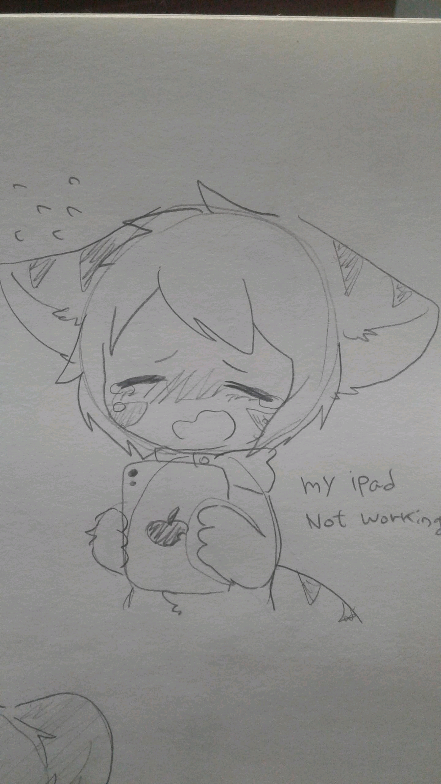 thenewpicturesofchanged11