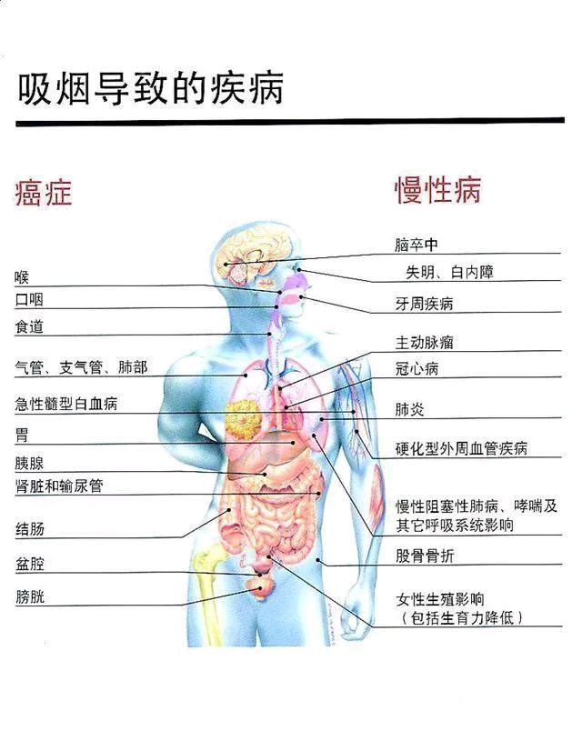 致那些吸烟者和被动吸烟者