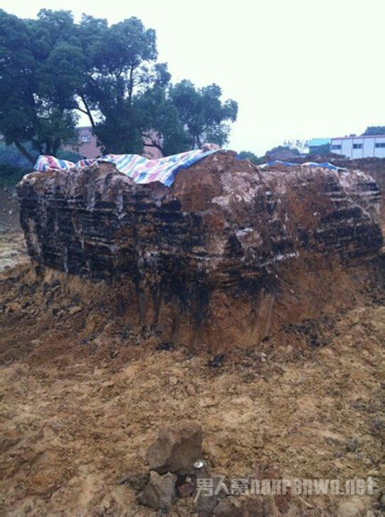 胆小慎入,中国十大灵异事件之成都僵尸!