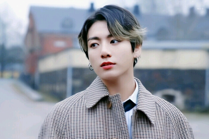 [田柾国]放养了26年的兔子(爱豆x站姐/签售会/甜甜甜)