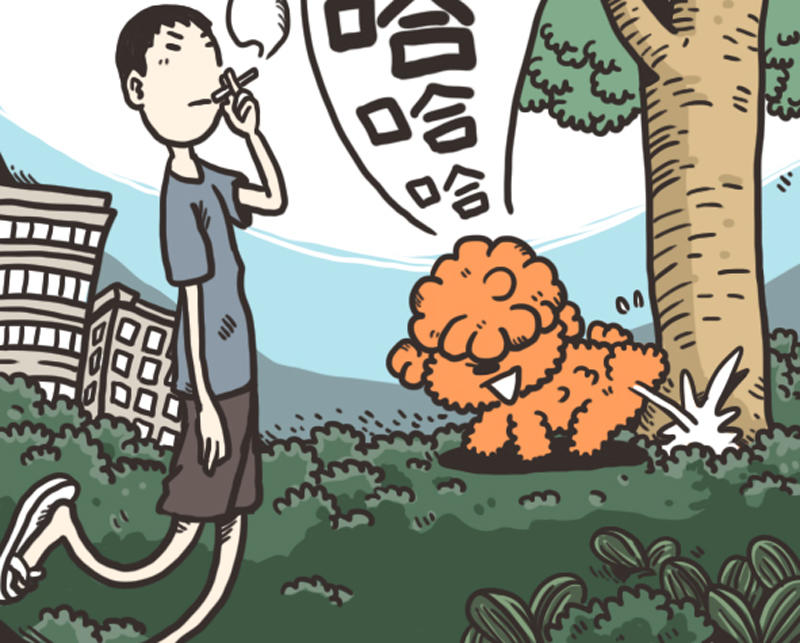 聒噪墙头草多动症的番茄同学