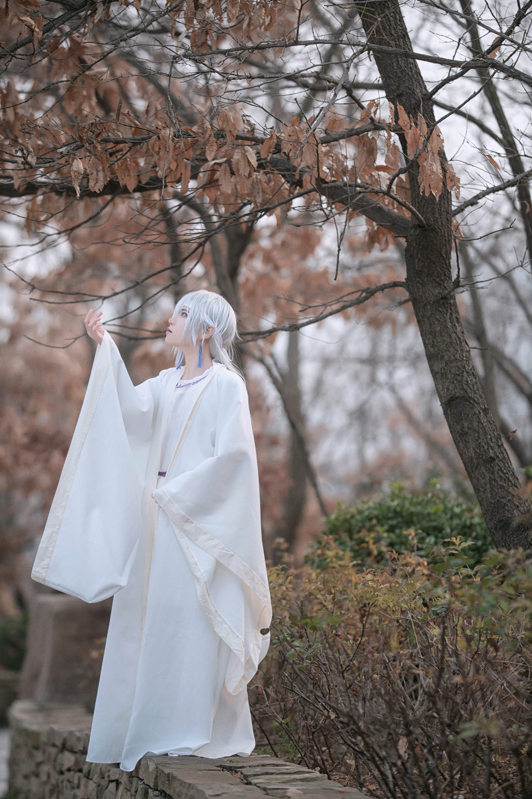 灵契端木落月cos正片