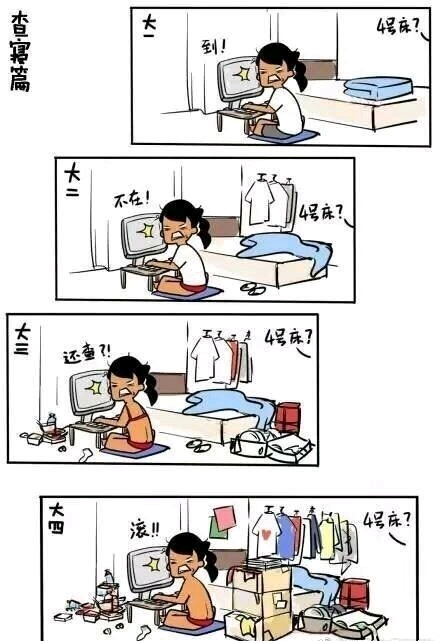 我的查寝