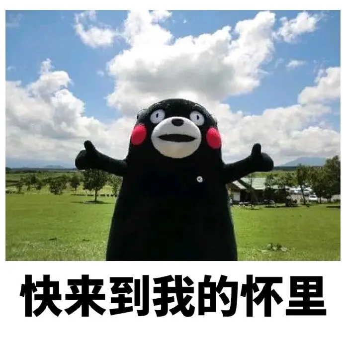 熊本熊家乡的国立大学 熊本大学 哔哩哔哩