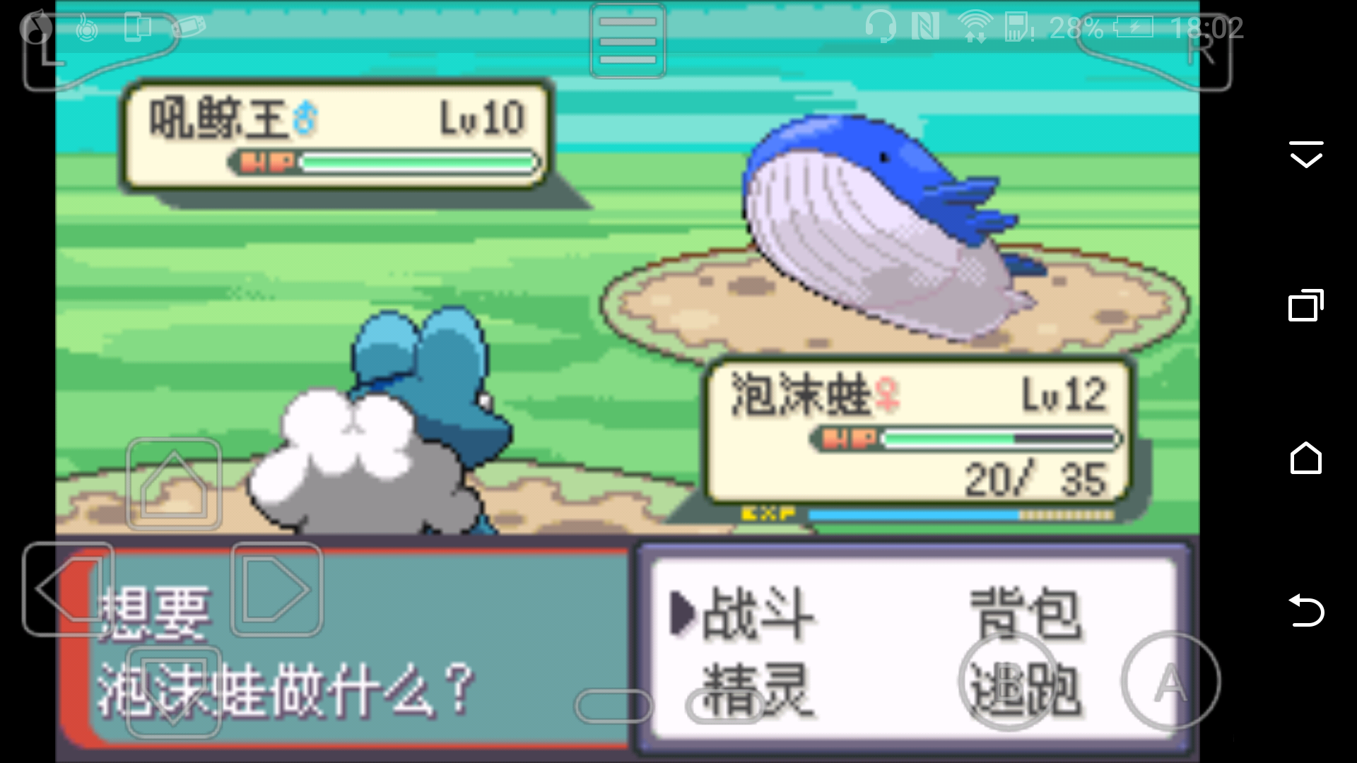 《口袋妖怪永恒之沫》图文攻略