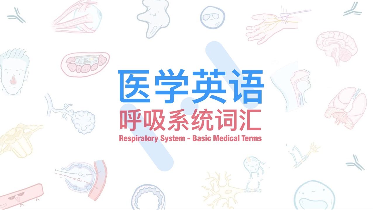 I I 医学英语 呼吸系统词汇入门 附quizlet词卡 哔哩哔哩