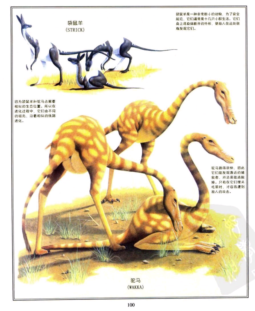 未来世界的动物一些非常扯淡!究竟是那些?