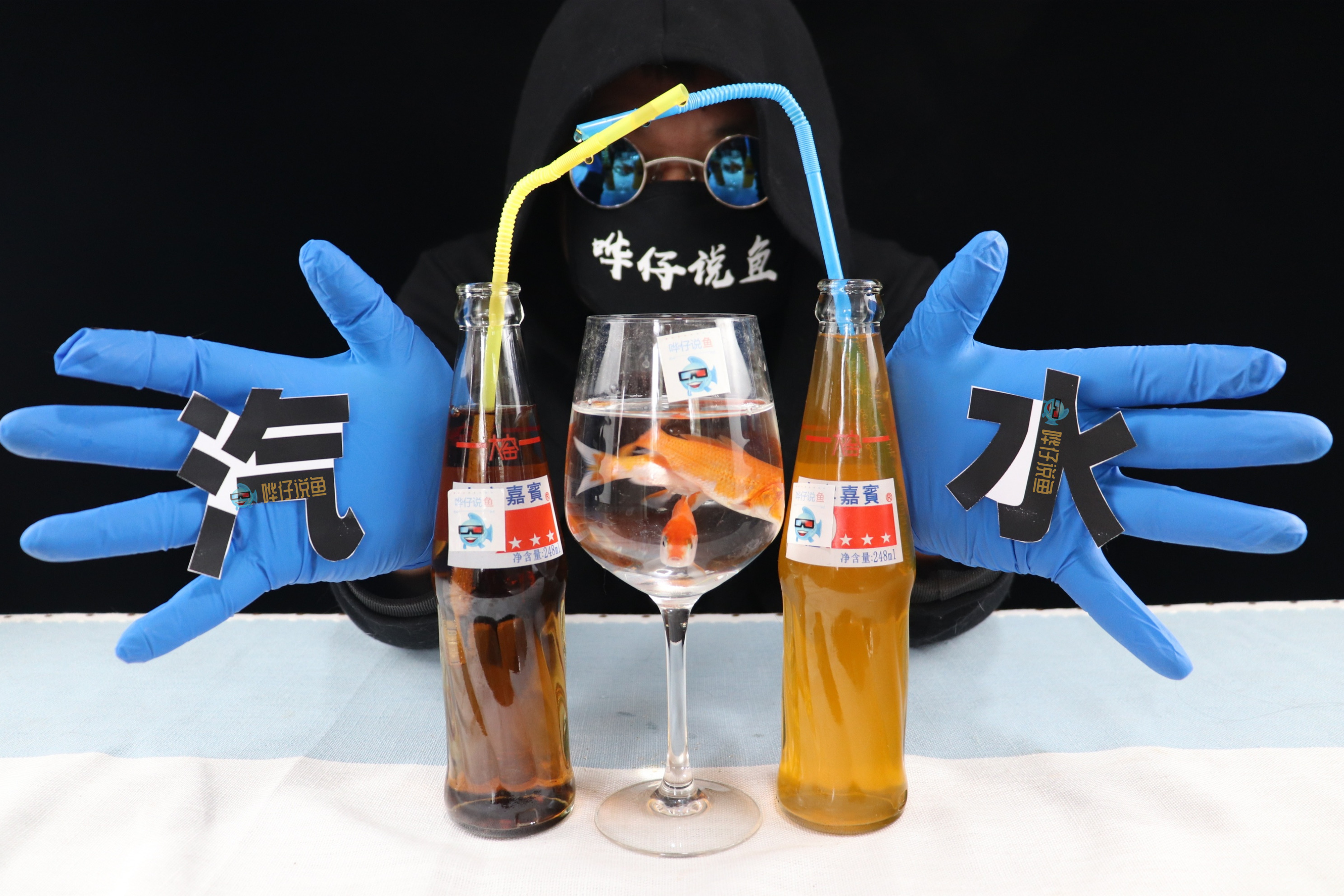 明明都是观赏鱼,凭什么汽水鱼就比别的宠物鱼