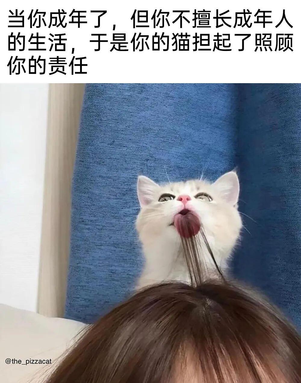 meme梗图:当你喜欢的人开始变得主动 - 哔哩哔哩