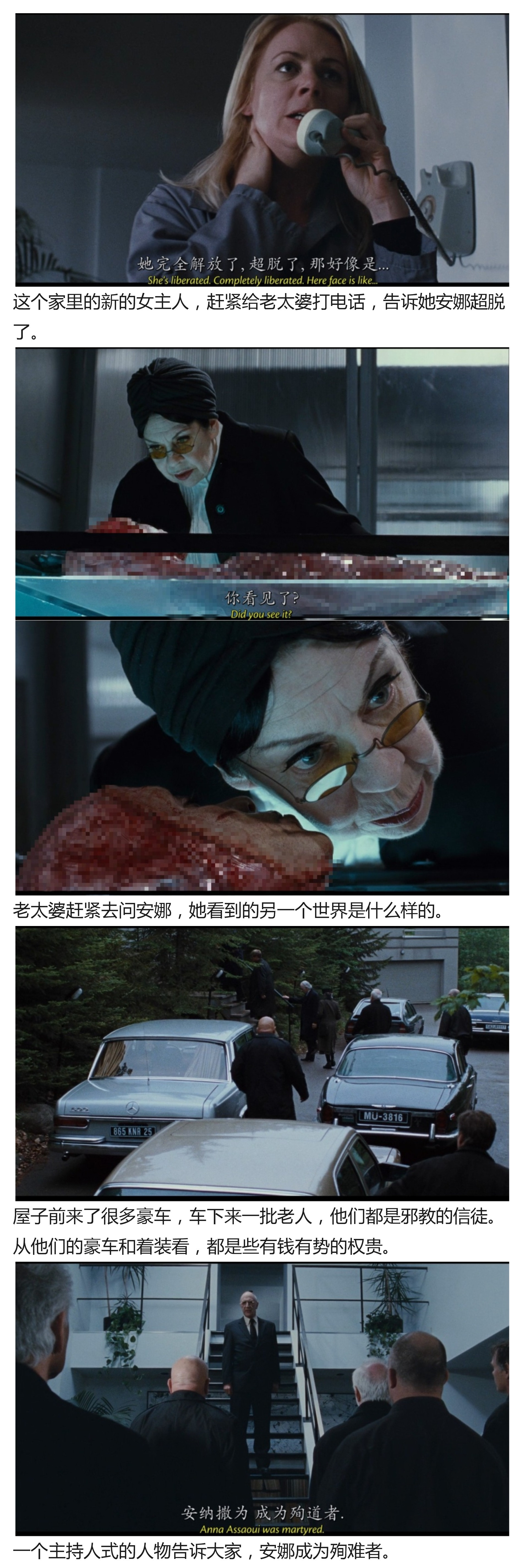 少有人解说的恐怖片佳作殉难者