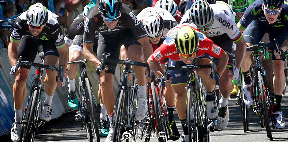 基于个人bike fitting观点的公路车弯把分析