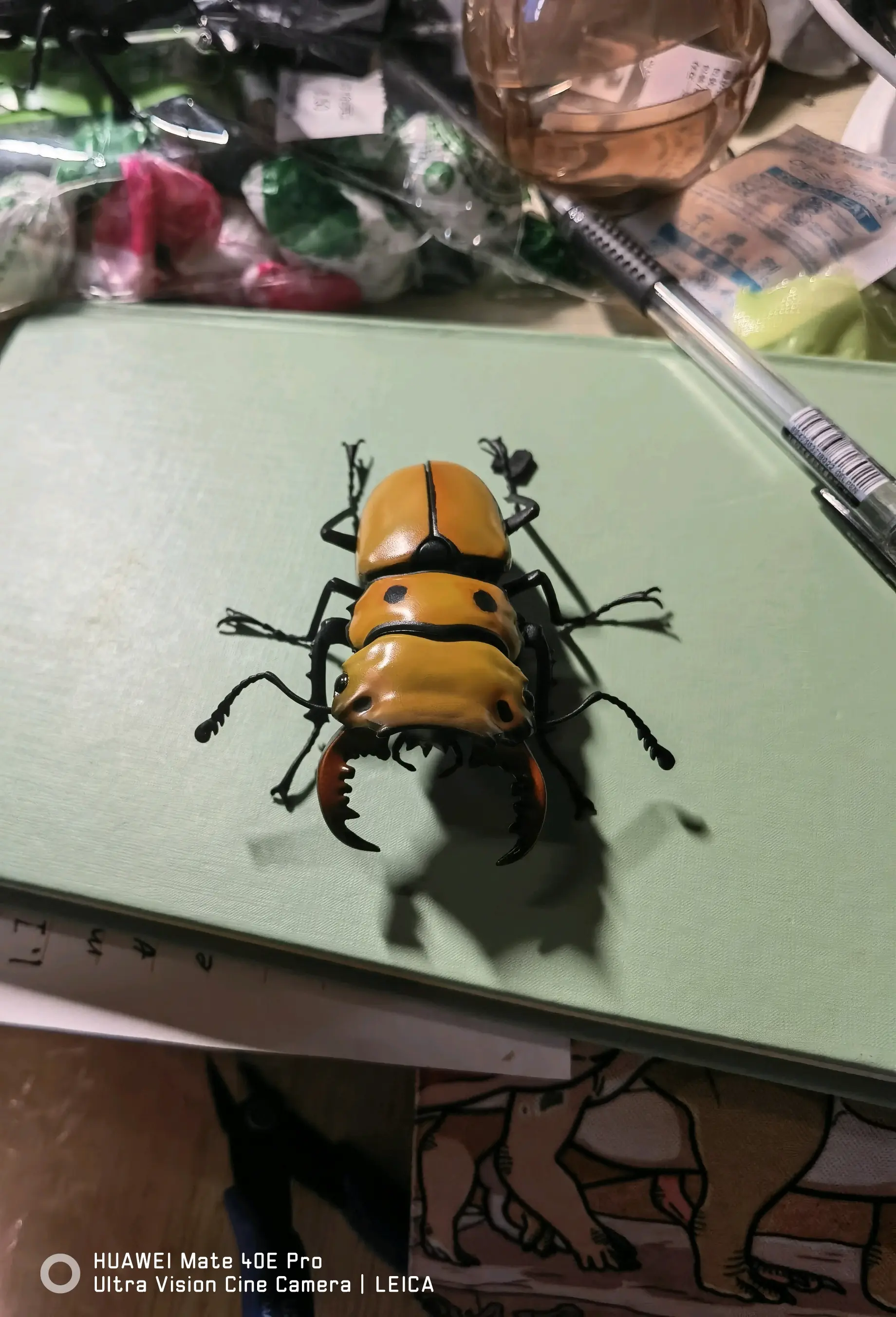 大王虎甲,我这次最期待的物种,就是为了这点醋包的这顿饺子.做的还