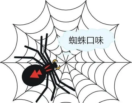 蜘蛛池是干什么的？对网站收录有好处吗？