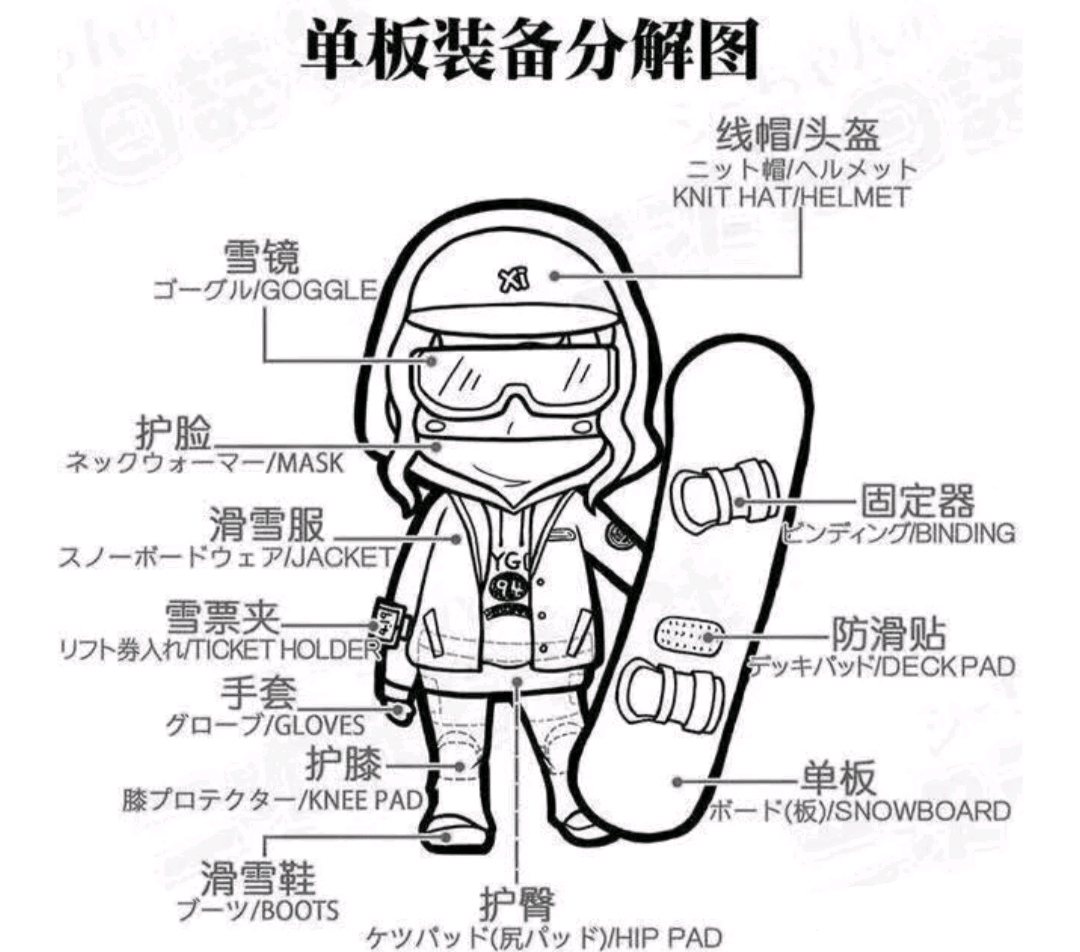 单板滑雪帮小白入坑—装备