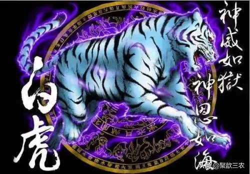 俗话里的 青龙 白虎 朱雀 玄武 科学来源到底是什么呢 哔哩哔哩