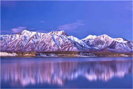 伏龙殿(楚天语彤)