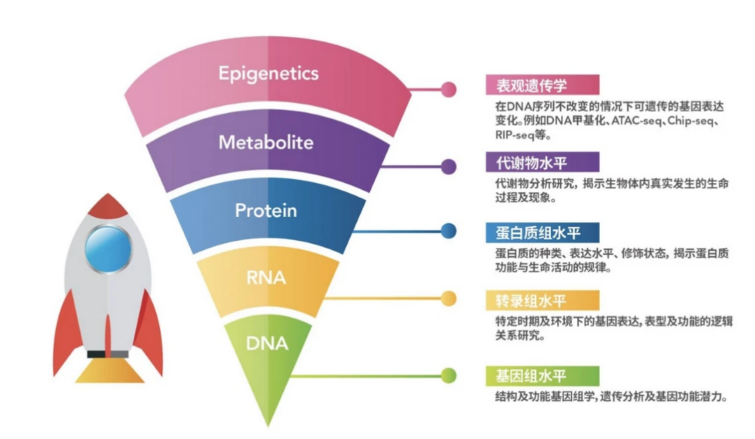 干货第一弹！多组学联合分析之代谢组FAQ - 哔哩哔哩