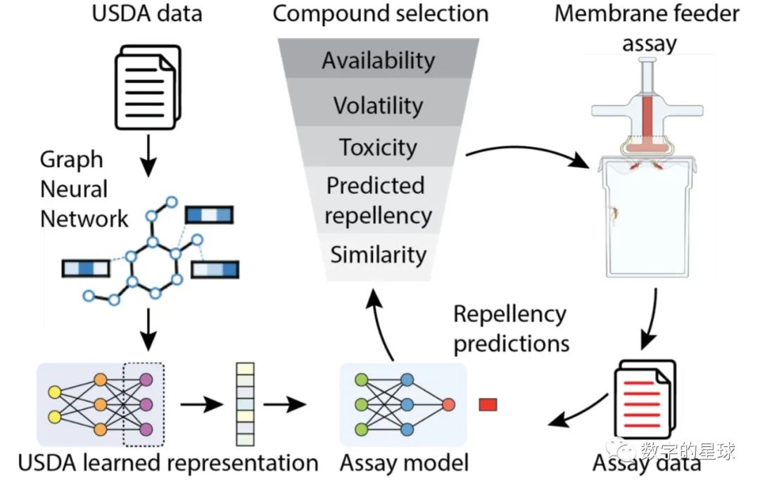 全国算力一张网：战略意义与未来展望