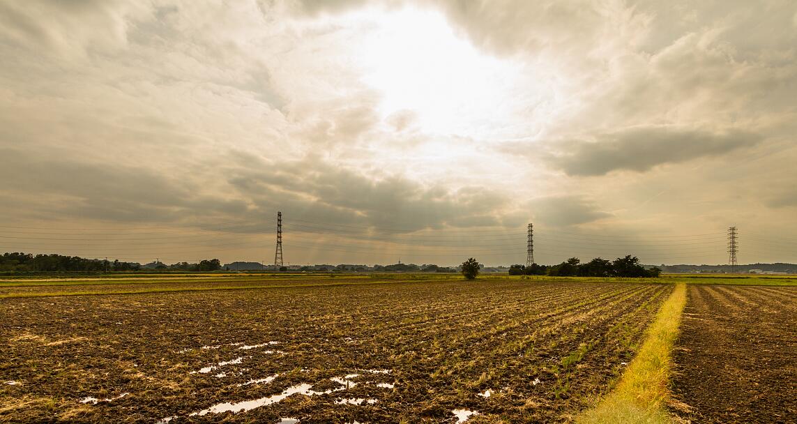 最美心头一亮时