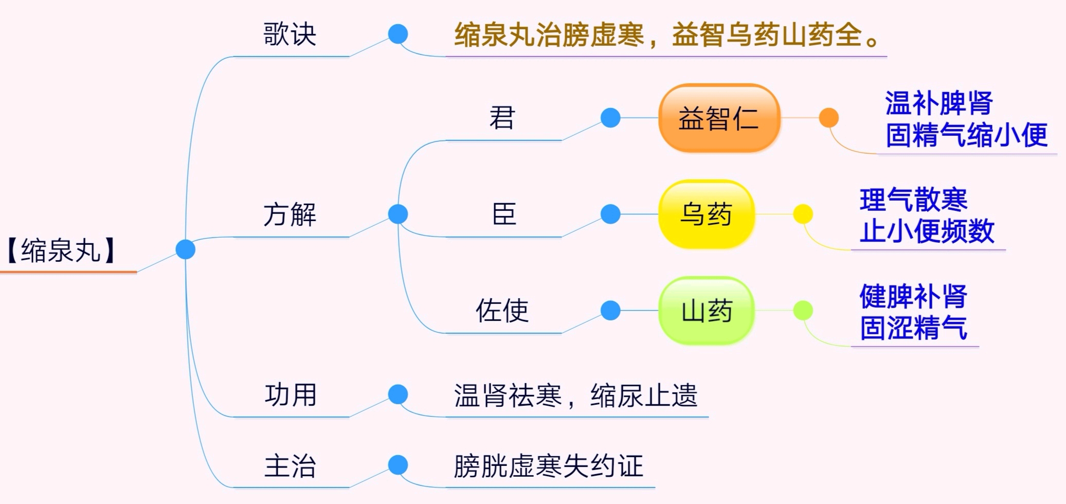 缩泉丸方剂图片