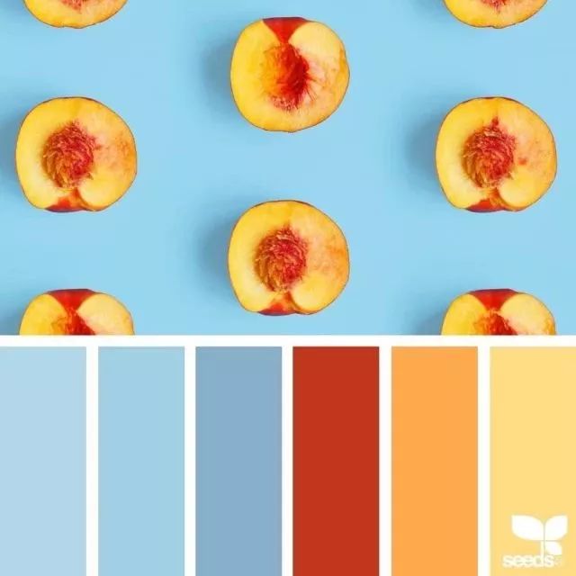 还是那句话,不要光看不练习哦~图片来自于instagram用户 @designseeds