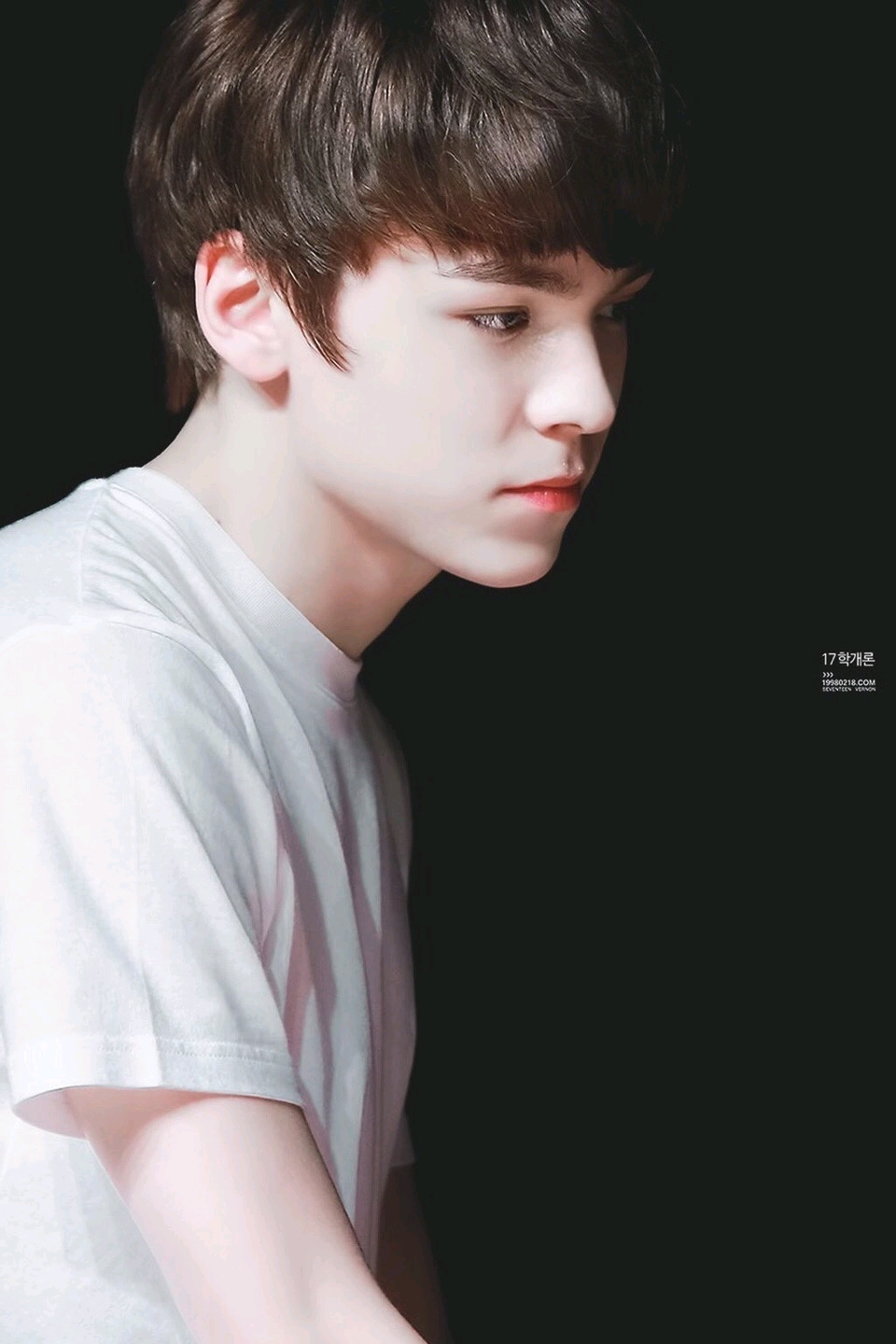 seventeen|封面|vernon