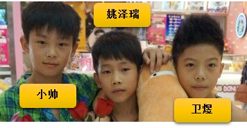 TF家族（截止2016年）【完结】