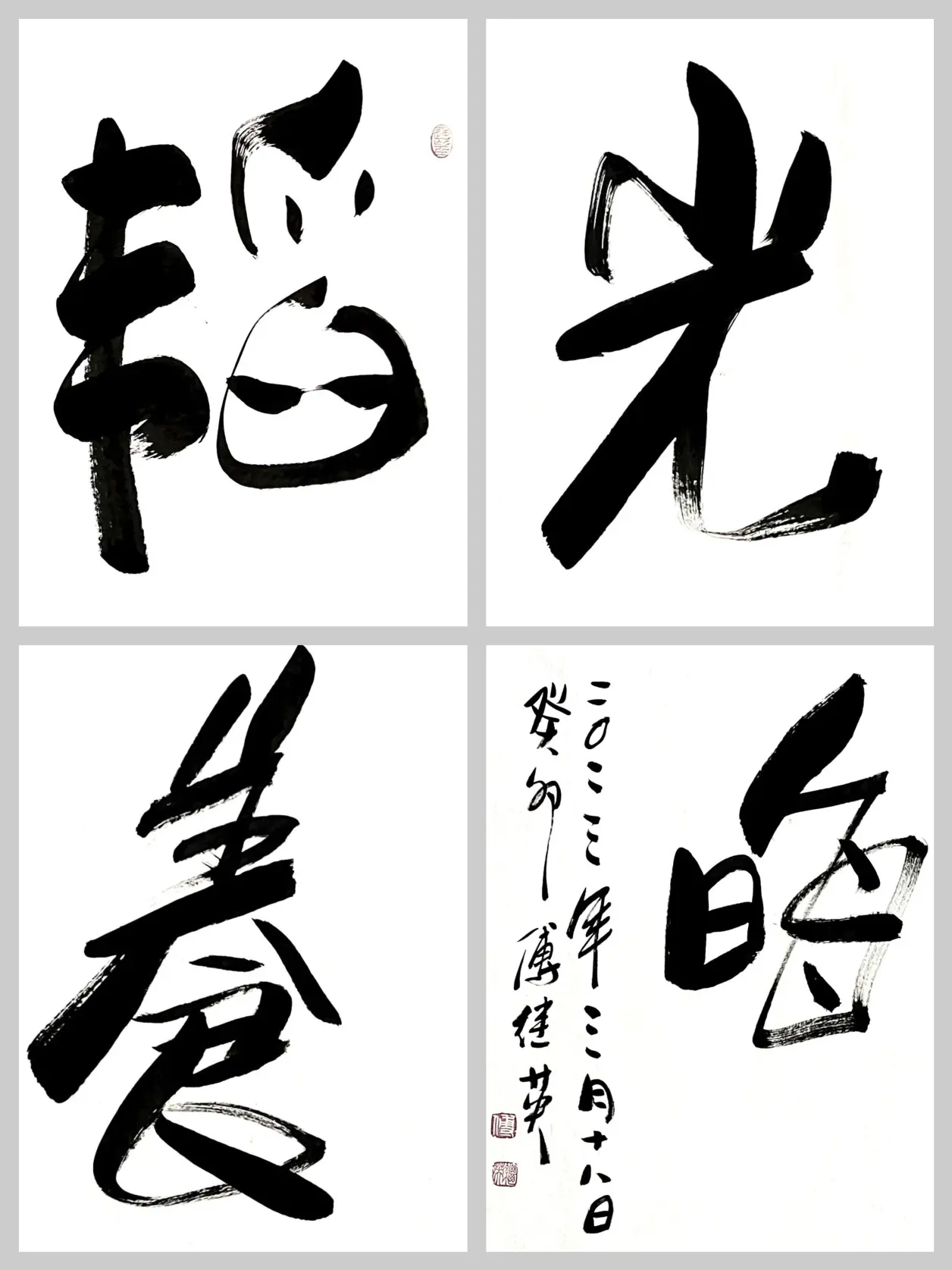 办公室字画傅继英秒懂成语书法作品《韬光养晦》